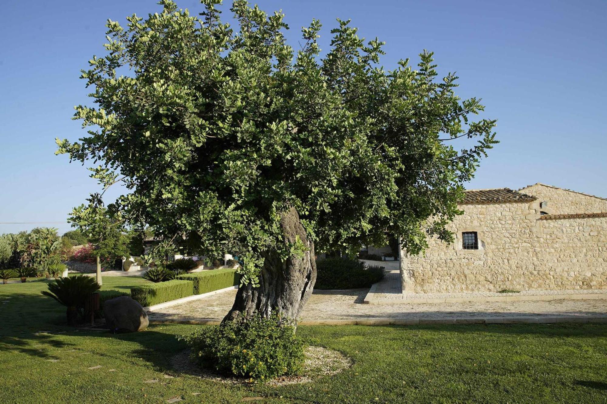 Torre Dantona Country Suites Pozzallo Eksteriør bilde